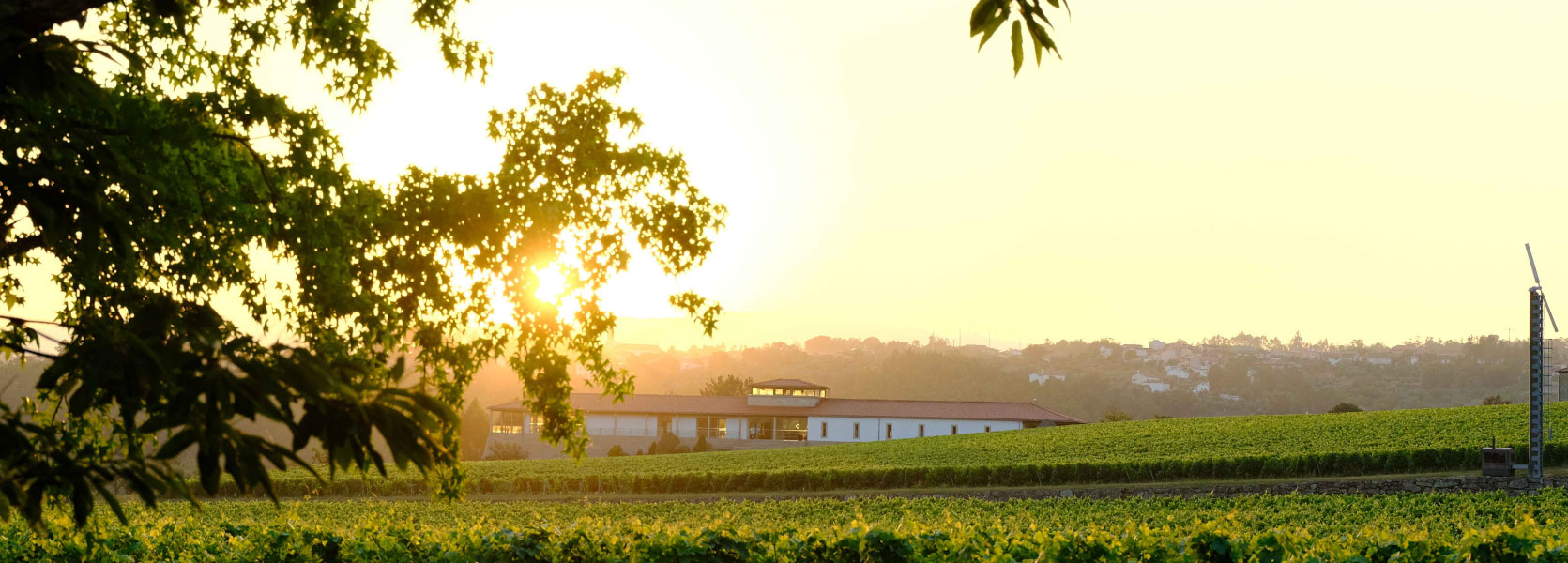 quinta de lemos