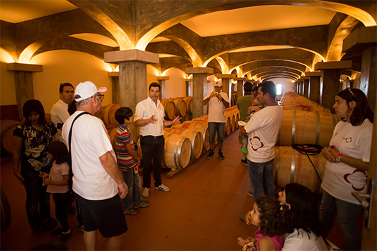 quinta de lemos