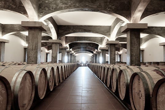 quinta de lemos