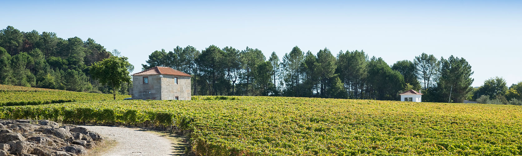 quinta de lemos